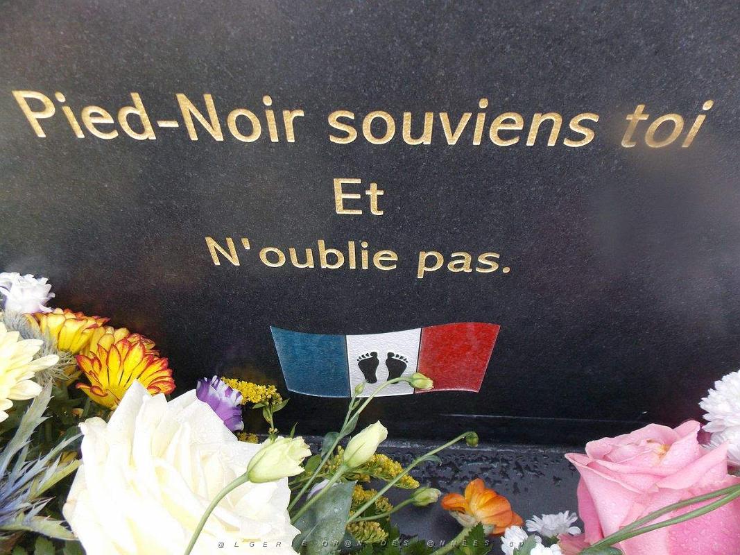 LA STELE DES P.N. AU CAP D AGDE AUX FALAISES DE LA CONQUE (107).jpg